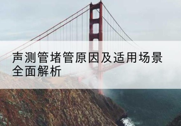 龙马潭声测管堵管的主要原因有哪些？-声测管堵管原因及适用场景全面解析